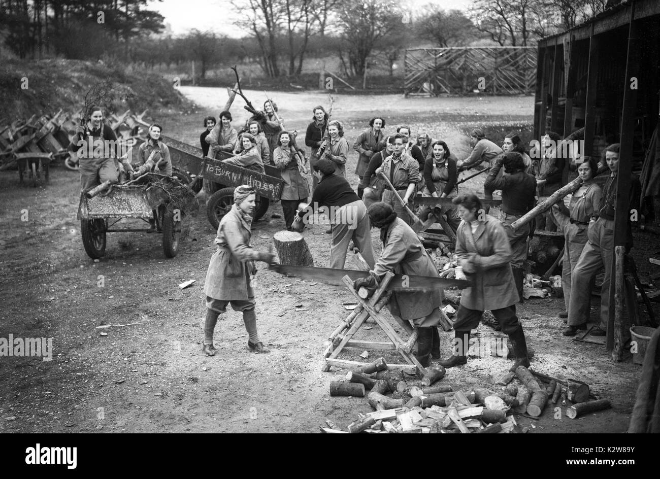 L'Armée de terre de femmes ou filles de terres faisant corps bois travaux forestiers dans le sud de l'Angleterre pendant la Seconde Guerre mondiale Banque D'Images