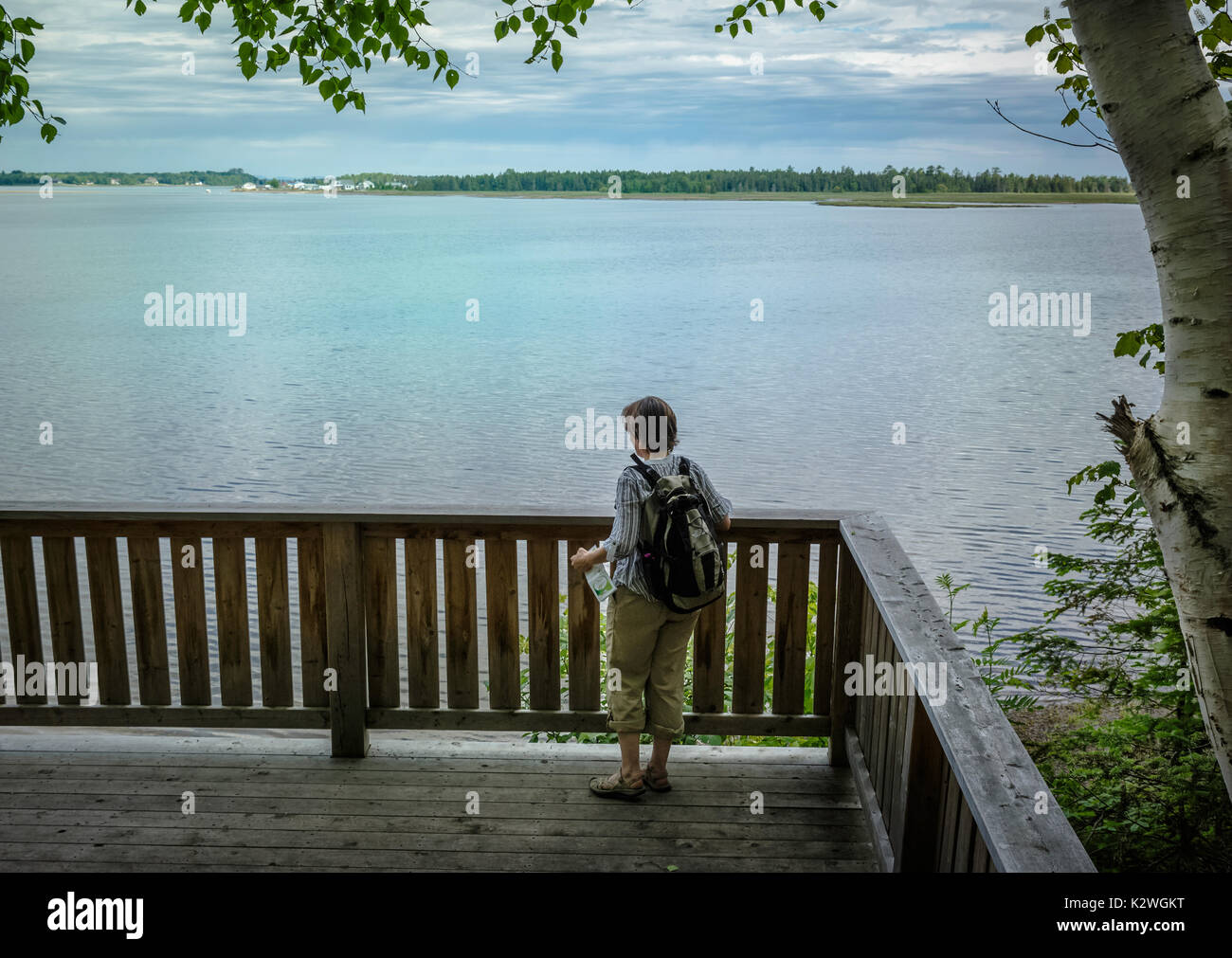 Femme se tient sur l'affichage de la plate-forme à la réserve naturelle de Daly Point, New Brunswick, Canada Banque D'Images
