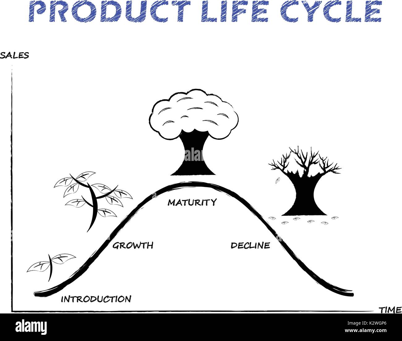 Noir & blanc, schéma du cycle de vie des produits est attiré par crayon sur fond blanc comme l'arboriculture quatre étapes, introduction, croissance, maturité, déclin. Illustration de Vecteur