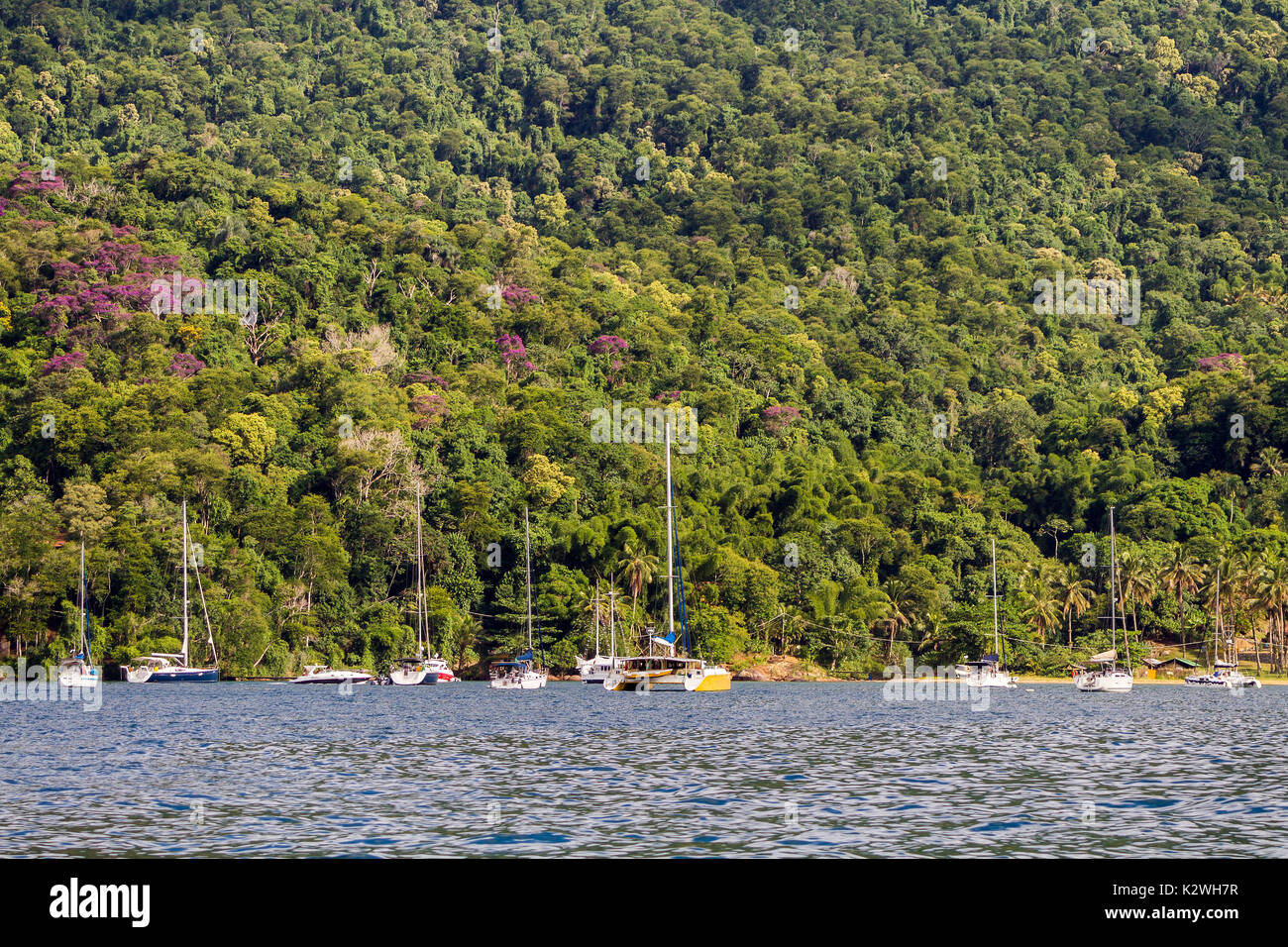 Bateaux à voile à Angra dos Reis Banque D'Images