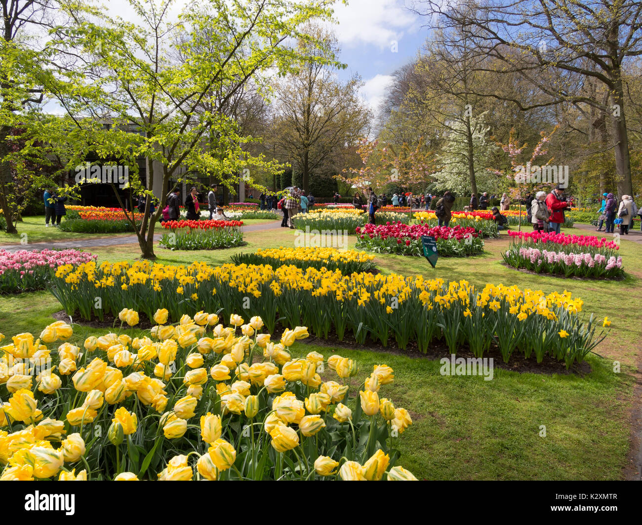 Tulipes et autres bulbes de printemps dans les jardins de Keukenhof, Holland Banque D'Images