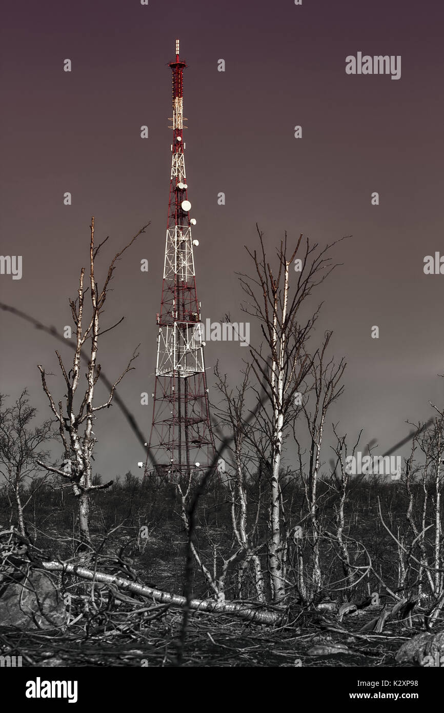 Prix du progrès technique. Concept. La tour de télécommunications modernes en forêt morte Banque D'Images