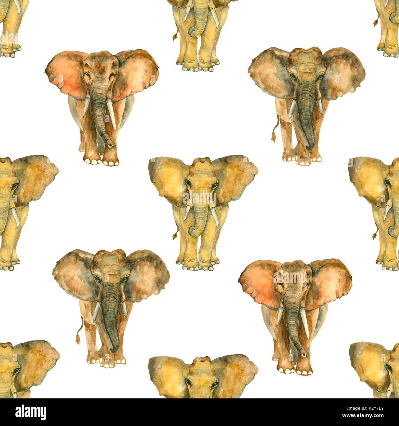 Modèle d'Éléphants sans couture aquarelle Banque D'Images