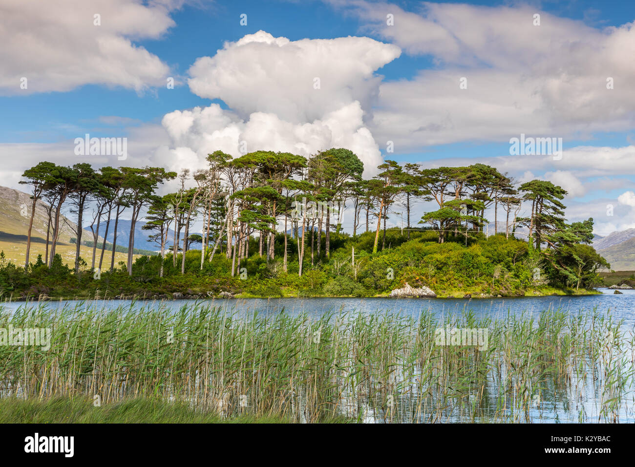 Derryclare Lough est un lac d'eau douce dans l'ouest de l'Irlande. Il est situé dans la région du Connemara Comté de Galway. Derryclare Lough est situé à environ Banque D'Images