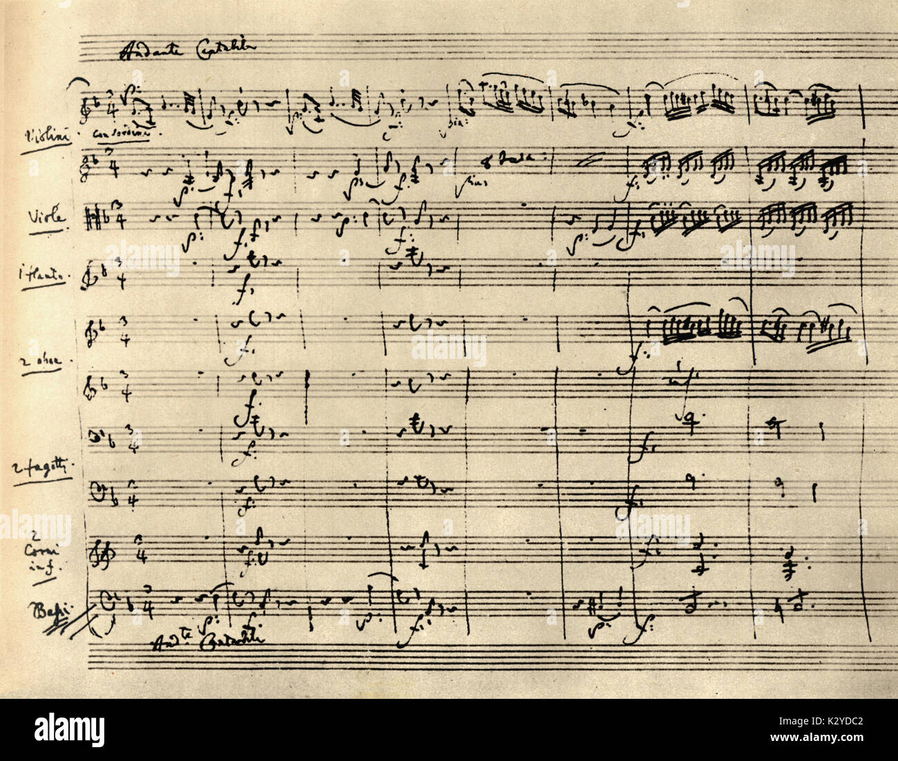 Wolfgang Amadeus Mozart's note manuscrite pour Jupiter Symphony (Symphonie 41) Début de l'Andante. Compositeur autrichien, 1756-1791 Banque D'Images