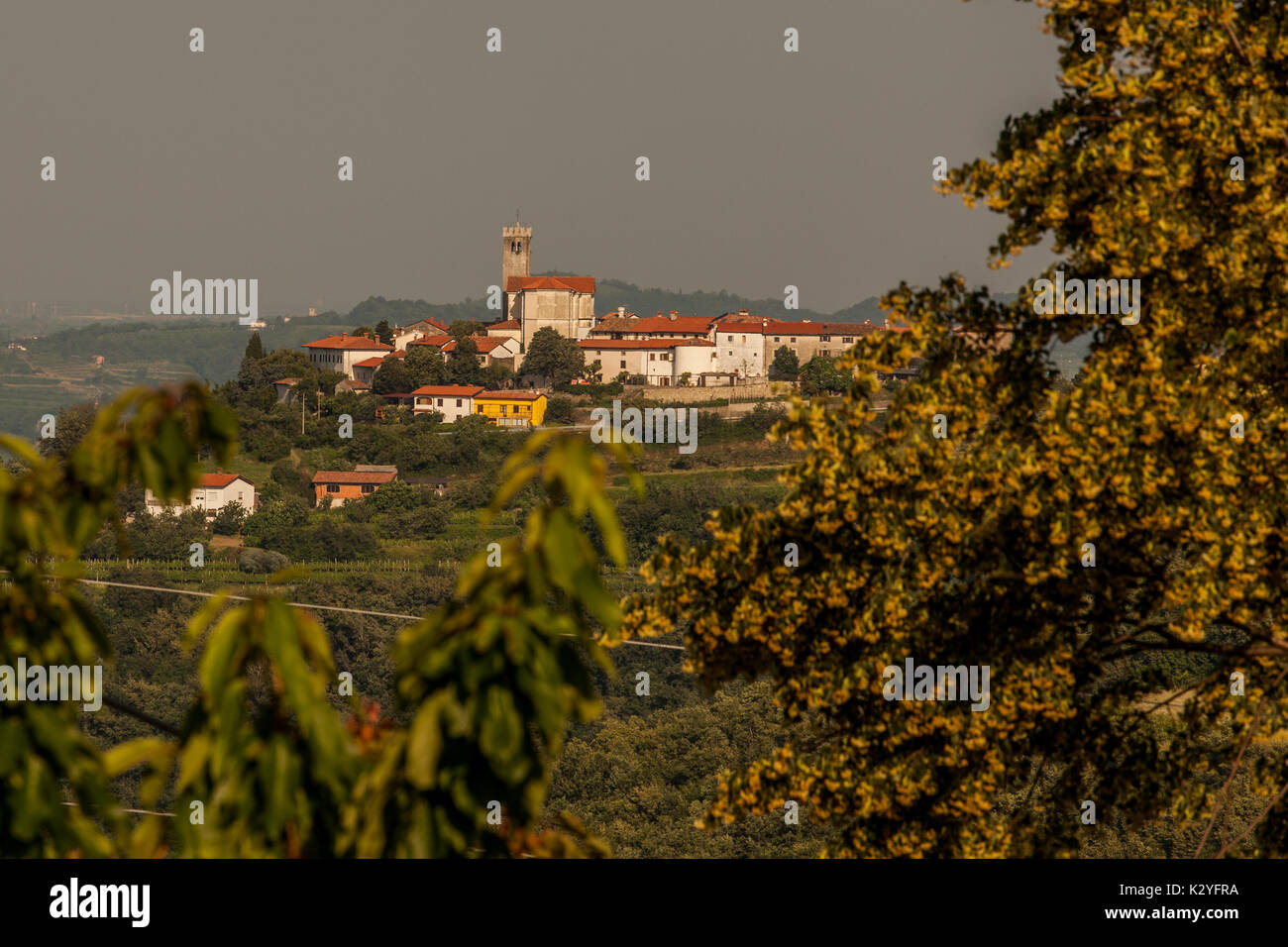 Goriska Brda est une grande région viticole de l'ouest de la Slovénie, près de la frontière avec l'Italie. Ils sont connus sous le nom de Toscane slovène et de vin appelé Rebula. Banque D'Images