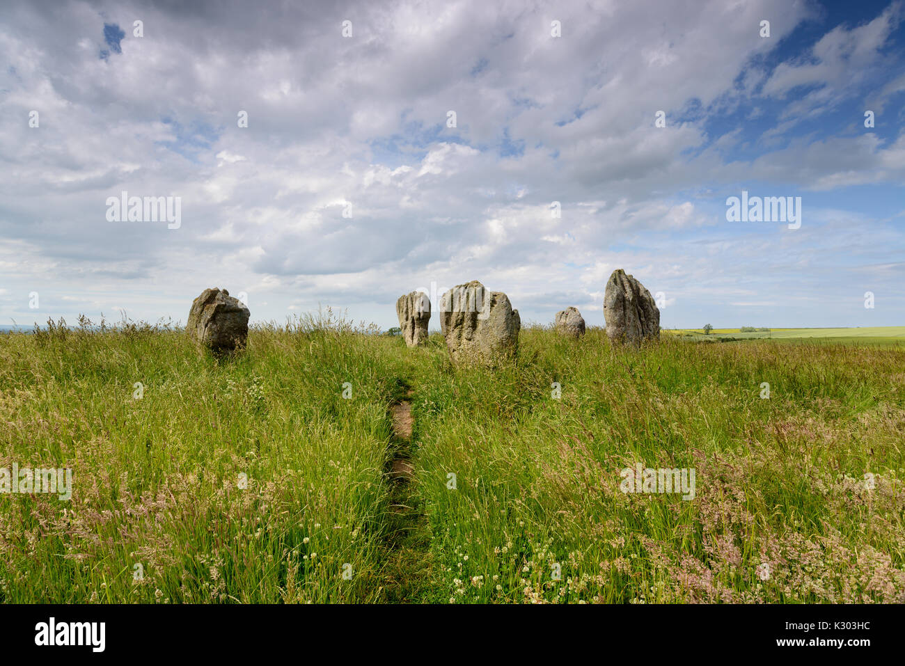 L'été au Duddo pierres, un petit cercle de pierres près de la frontière écossaise dans le Northumberland Banque D'Images