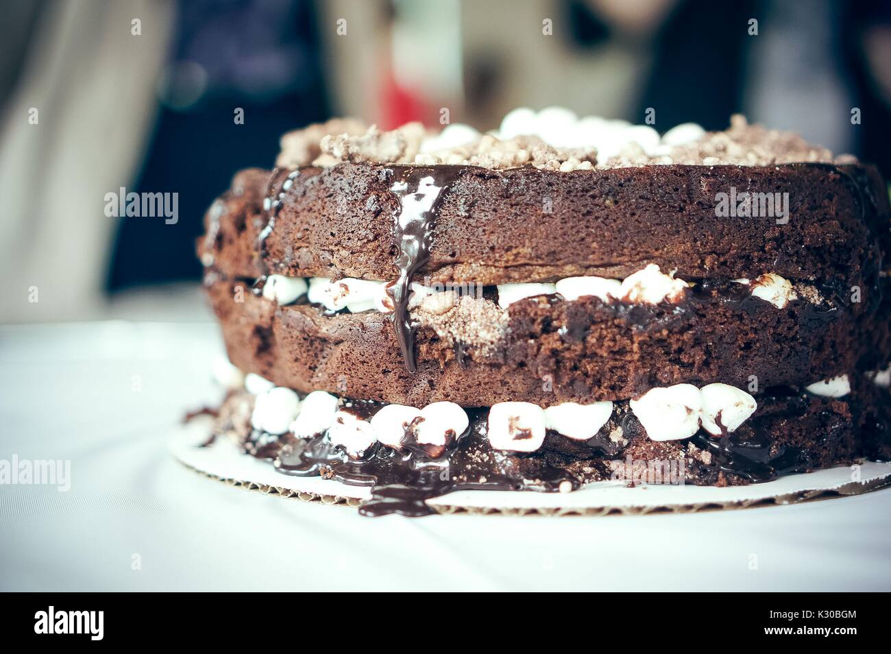 'Matilda' cake à la Johns Hopkins University's 'Lecture annuelle et le manger" Festival du livre sur les comestibles Homewood campus à Baltimore, Maryland, Mars, 2016. Avec la permission de Eric Chen. Banque D'Images