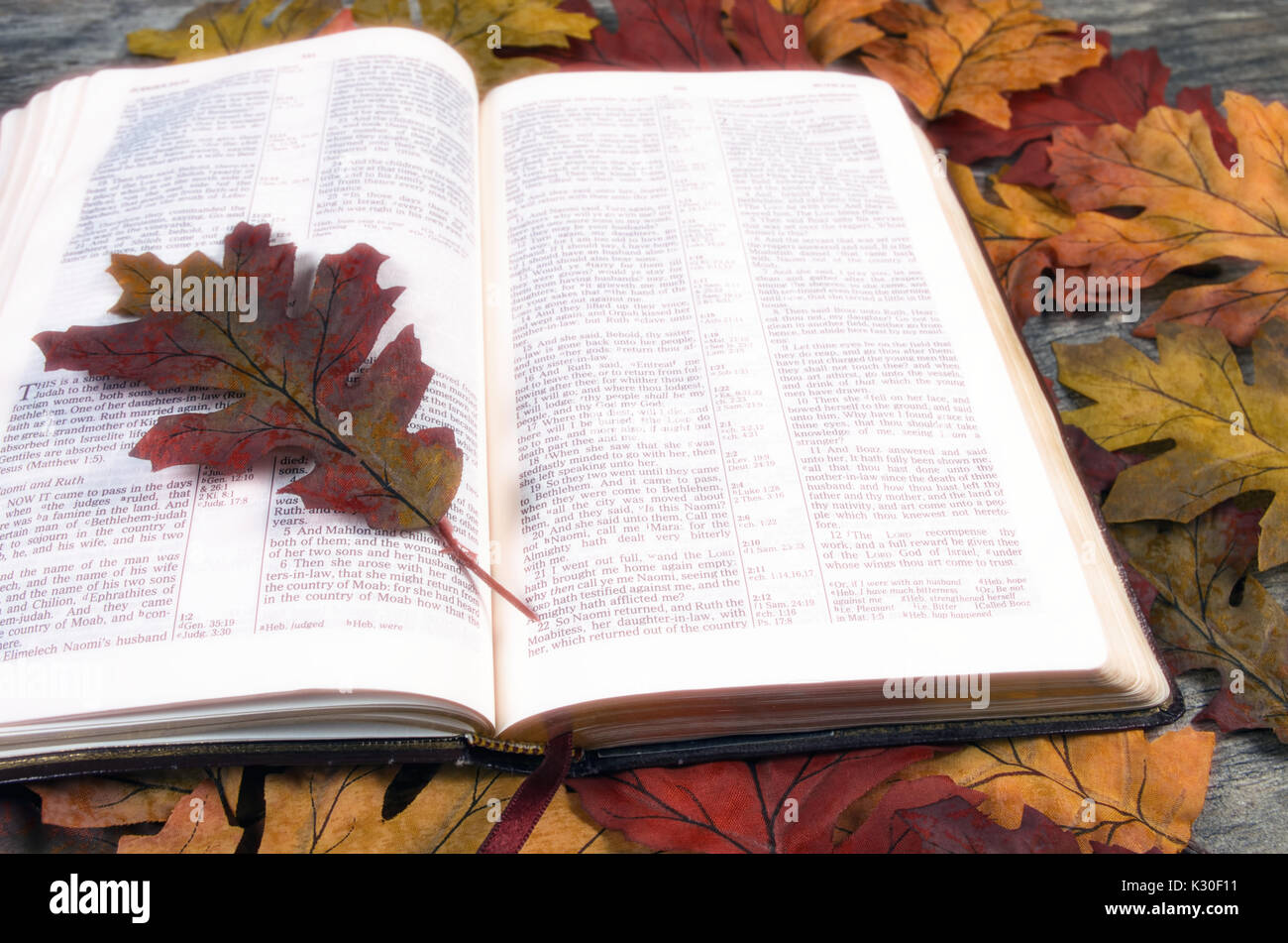 Bible ouverte sur lit de feuilles tombées Banque D'Images