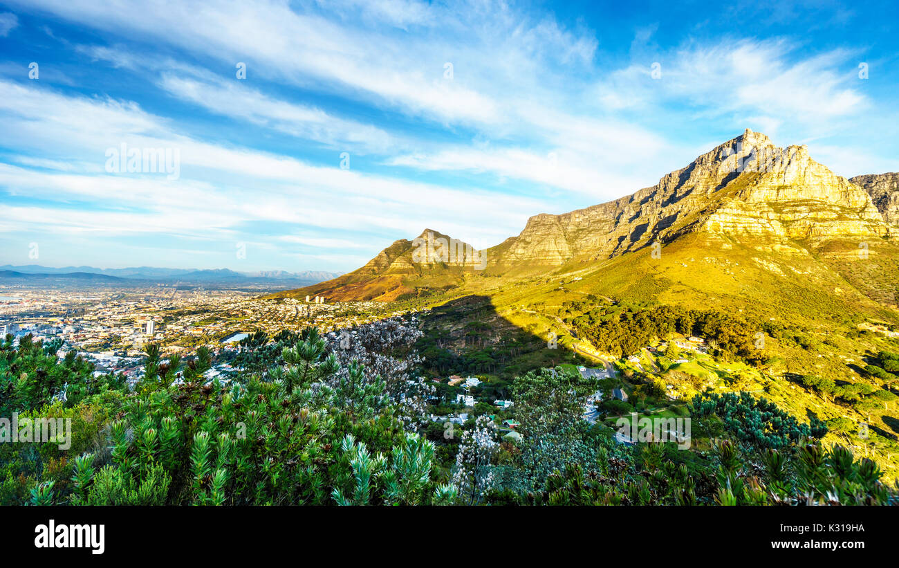 Vue de la Table Mountain, Devils Peak et les douze apôtres de la sentier de randonnée pédestre jusqu'au sommet de la montagne Lions Head, près de Cape Town Afrique du Sud sur un n Banque D'Images