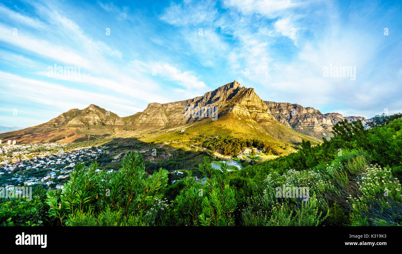 Vue de la Table Mountain, Devils Peak et les douze apôtres de la sentier de randonnée pédestre jusqu'au sommet de la montagne Lions Head, près de Cape Town Afrique du Sud sur un n Banque D'Images