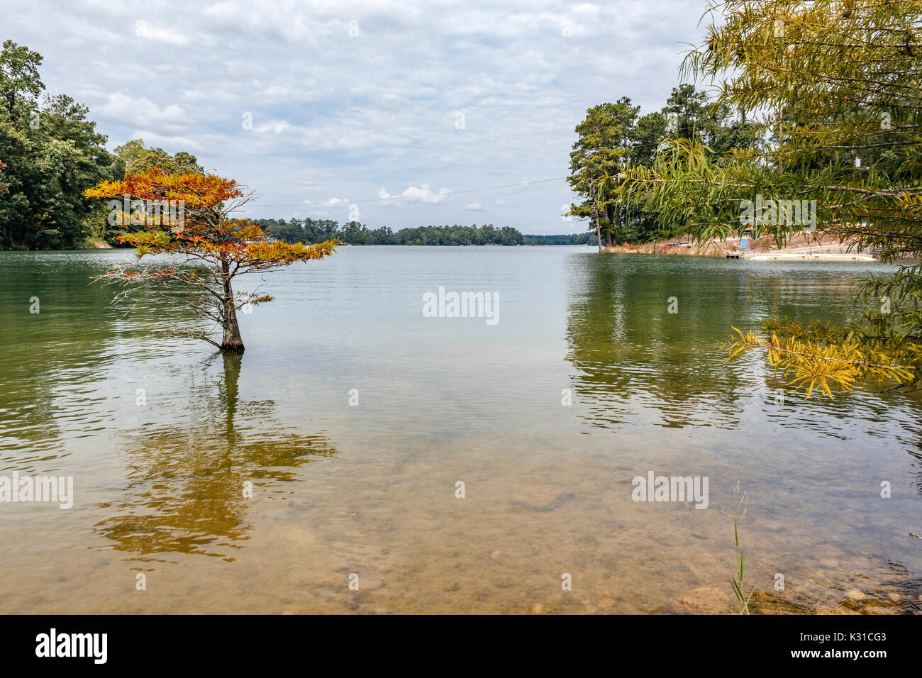 L'eau calme sur le lac martin, Alabama, Etats-Unis, montrant le rivage bordé d'arbres. Banque D'Images