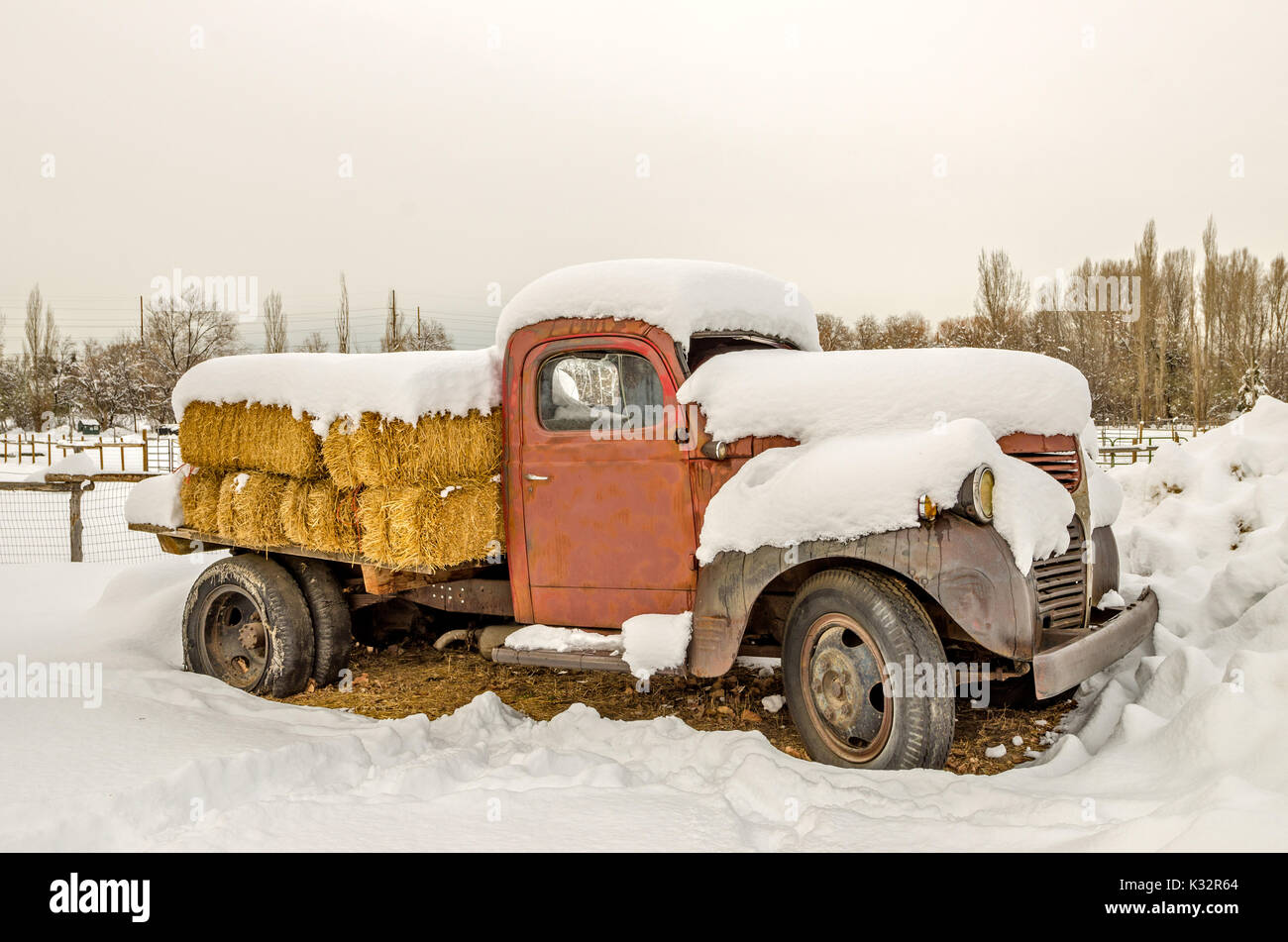 Vieux camion avec une vitre cassée chargé avec des balles de foin et couvertes de neige Banque D'Images