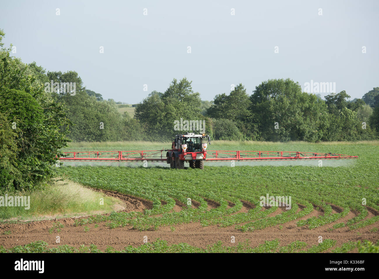 L'épandage d'engrais sur un tracteur champs agricoles La production des pommes de terre en Amérique du Warwickshire, Angleterre, RU Banque D'Images