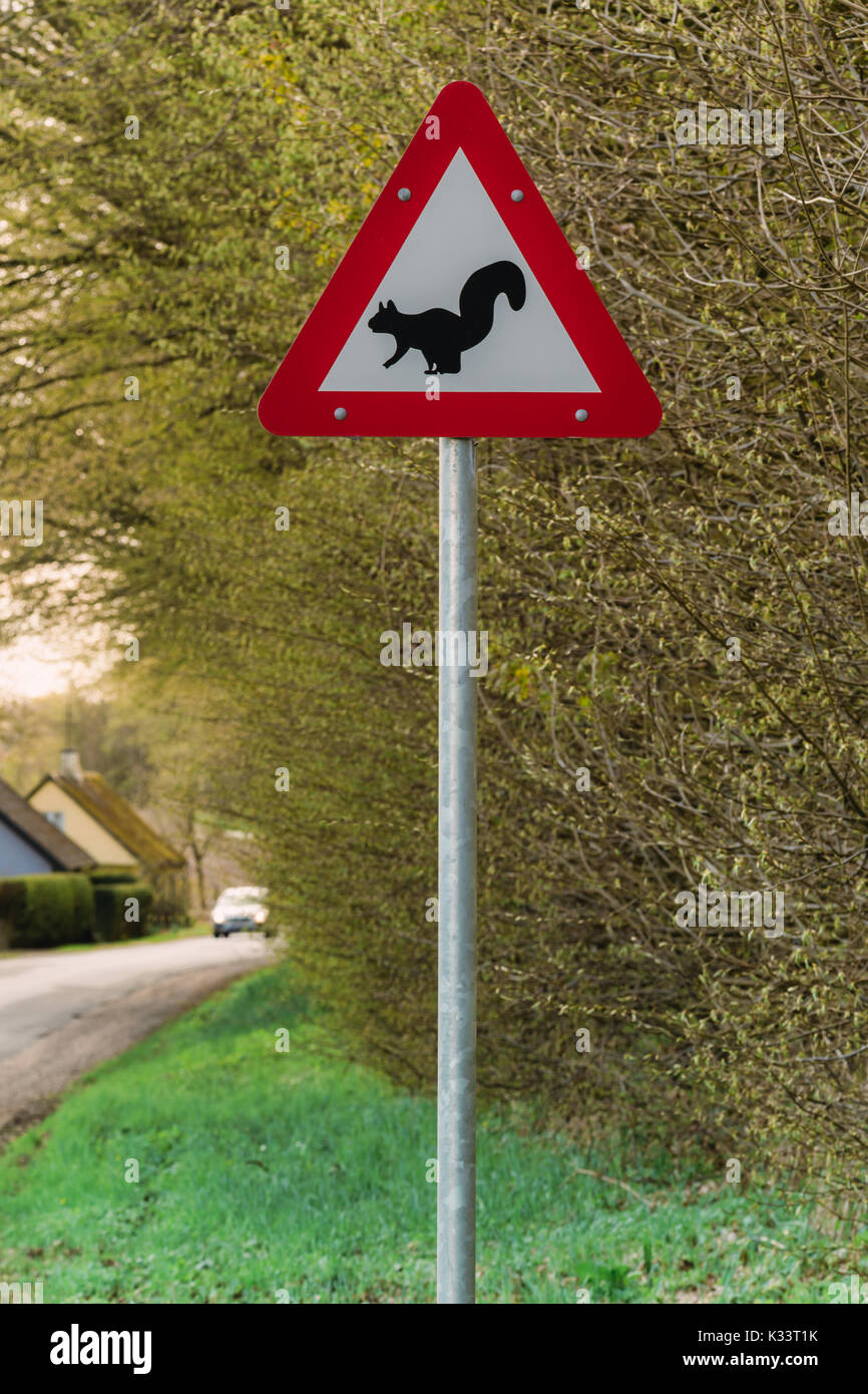 Panneau d'avertissement d'écureuil sur l'île de Langeland, danemark Banque D'Images