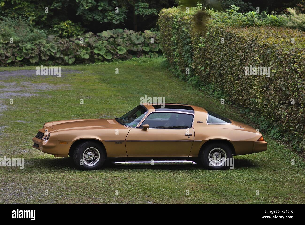 Golden Camara Berlinetta avec T-Top Banque D'Images