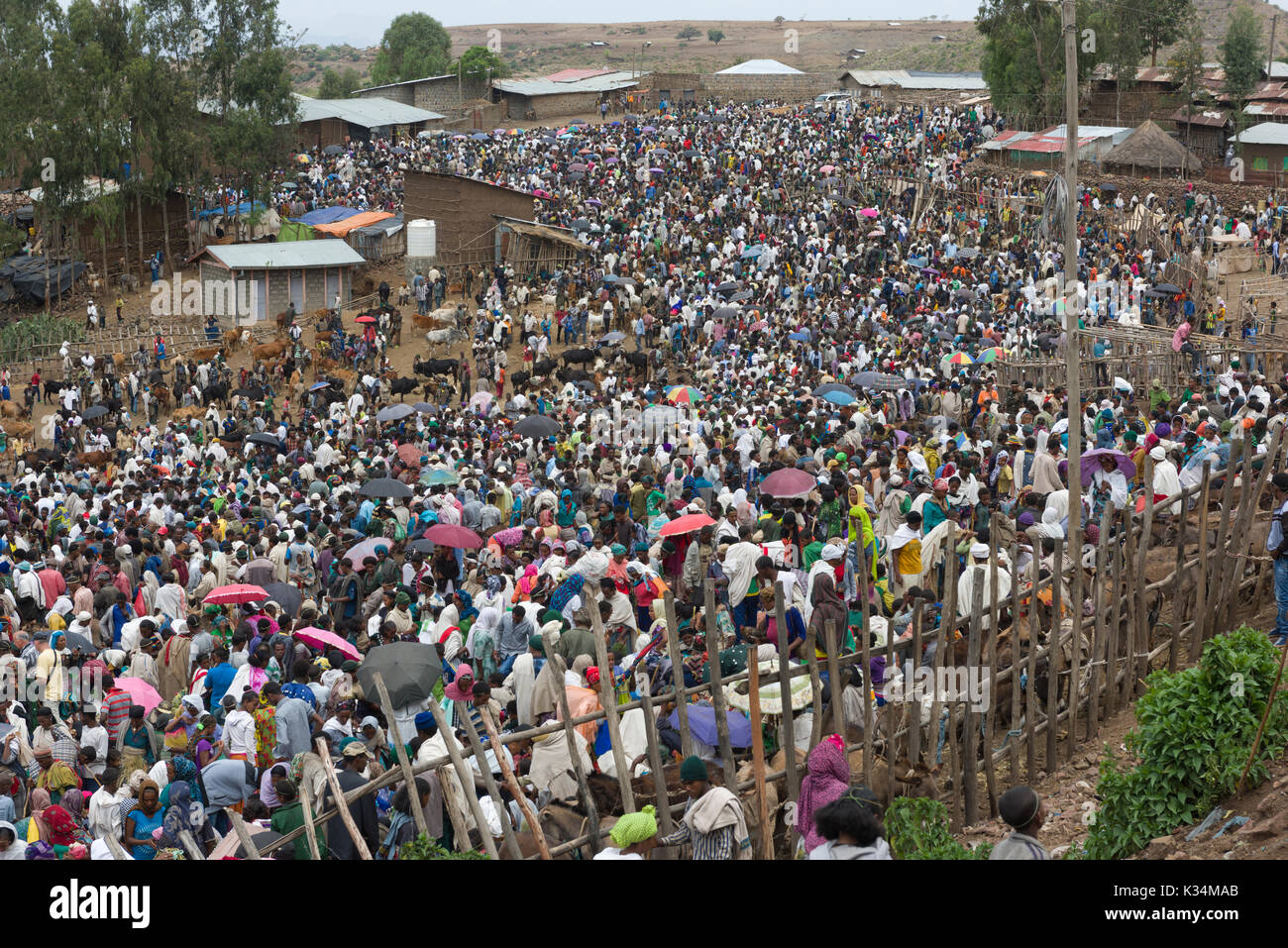 Des foules immenses au marché en plein air organisé le samedi saint orthodoxe éthiopien Tewahedo pour acheter de la nourriture afin de célébrer la fin de la période de carême, Lalibela, Amhara, Éthiopie Banque D'Images