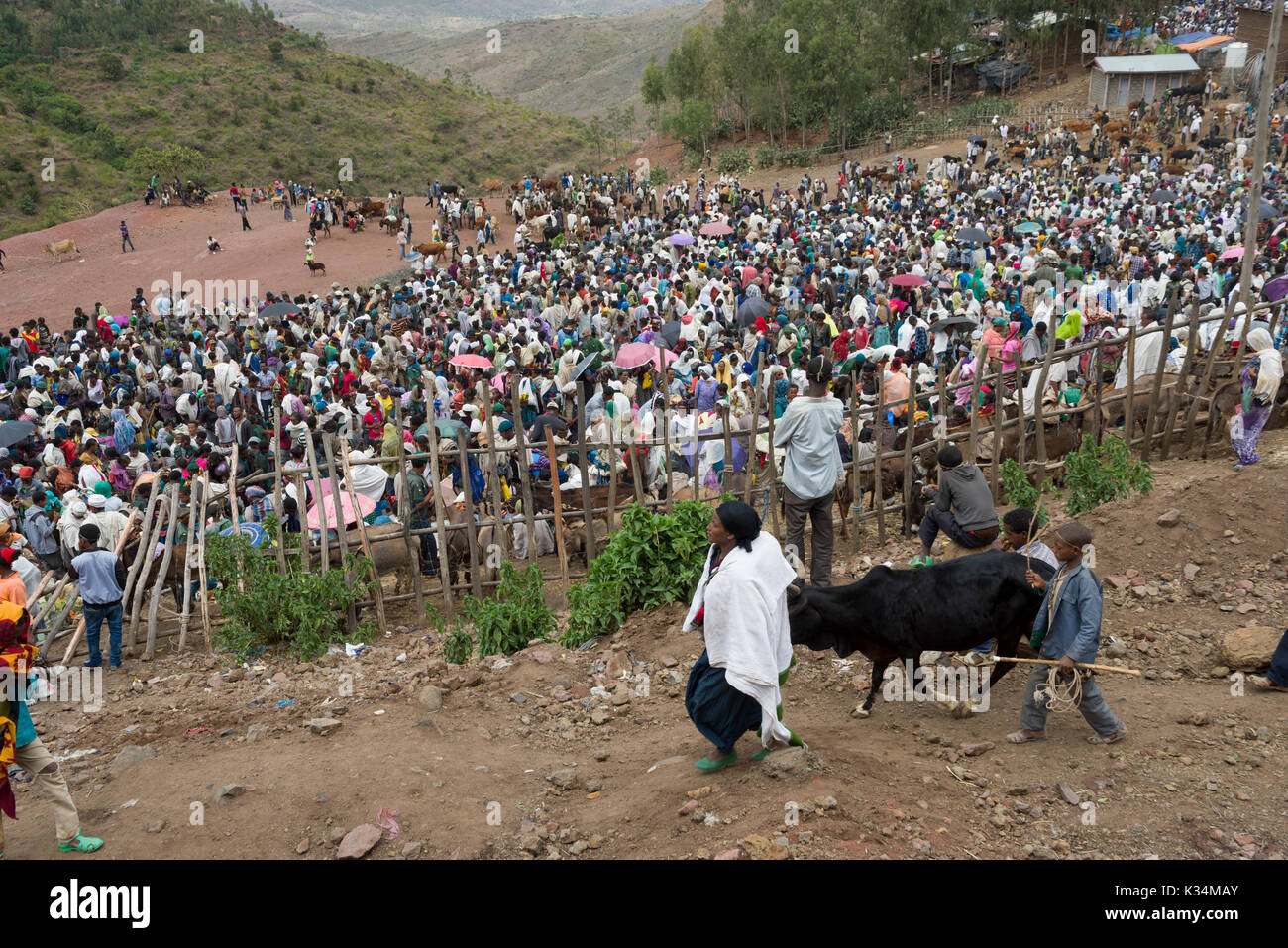 Des foules immenses au marché en plein air organisé le samedi saint orthodoxe éthiopien Tewahedo pour acheter de la nourriture afin de célébrer la fin de la période de carême, Lalibela, Amhara, Éthiopie Banque D'Images