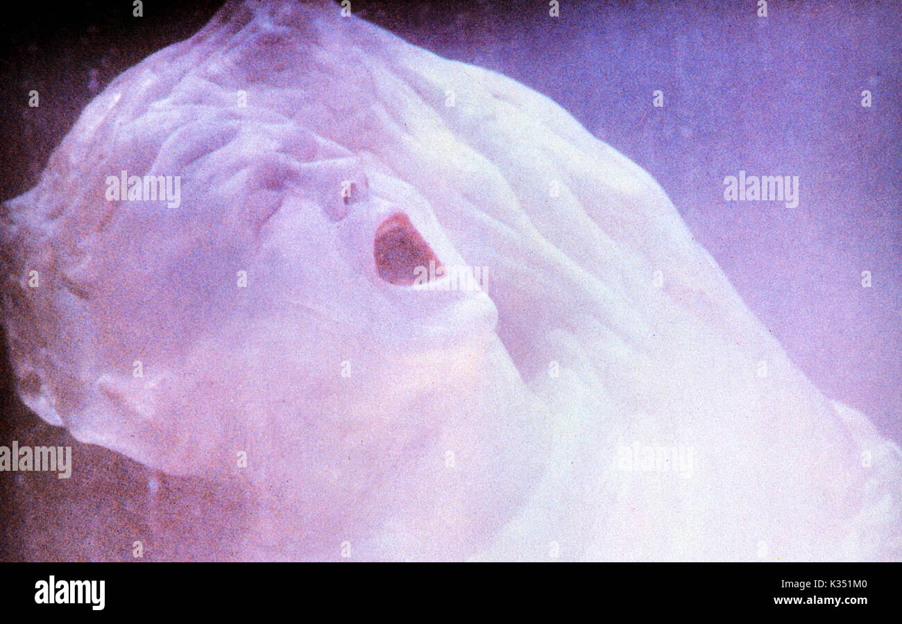 ALTERED STATES WILLIAM HURT Date : 1980 Banque D'Images