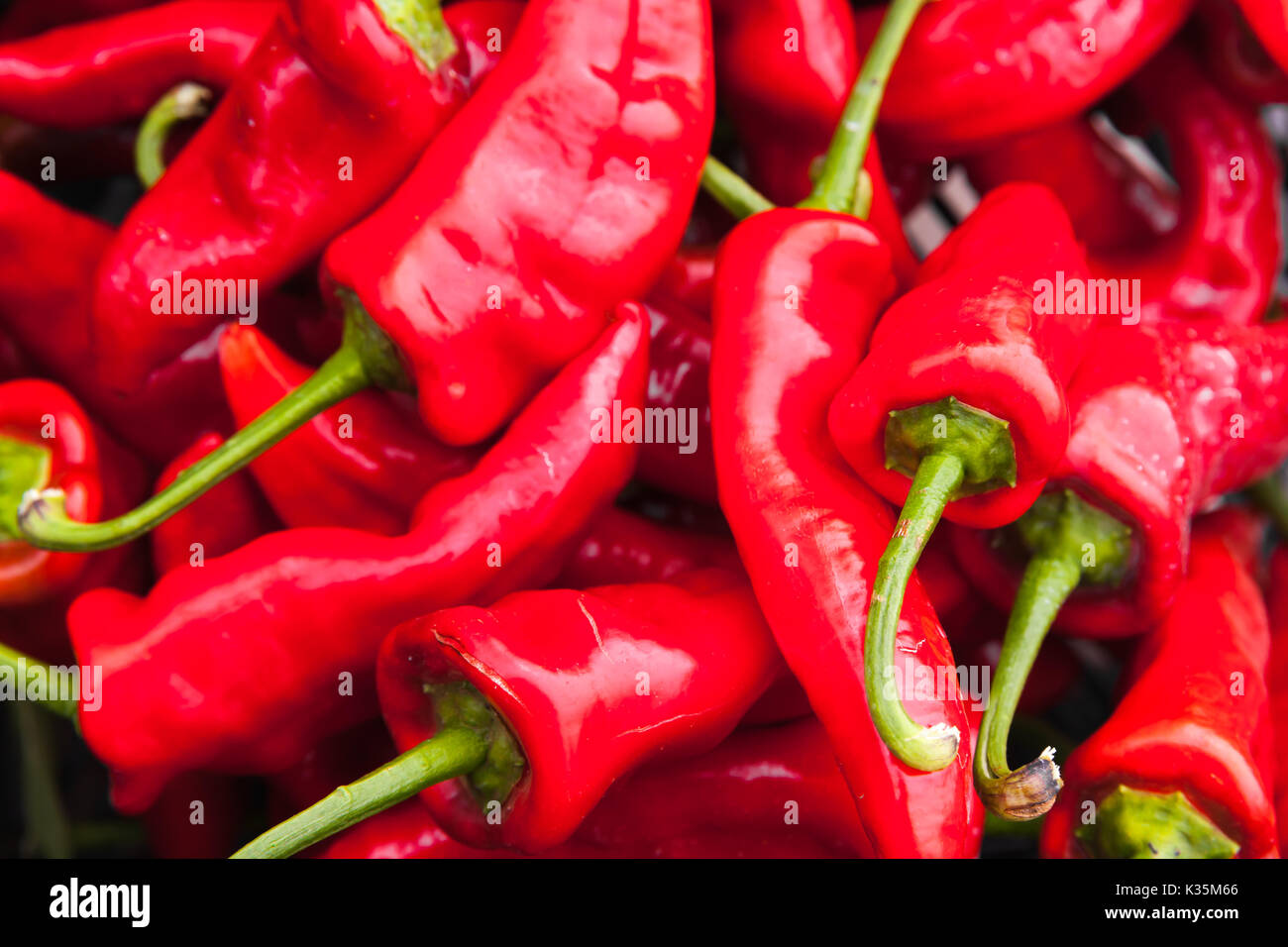 Red hot peppers jeter sur le comptoir de l'alimentation de rue marché sur l'île de Madère, au Portugal. Photo en gros plan avec selective focus Banque D'Images