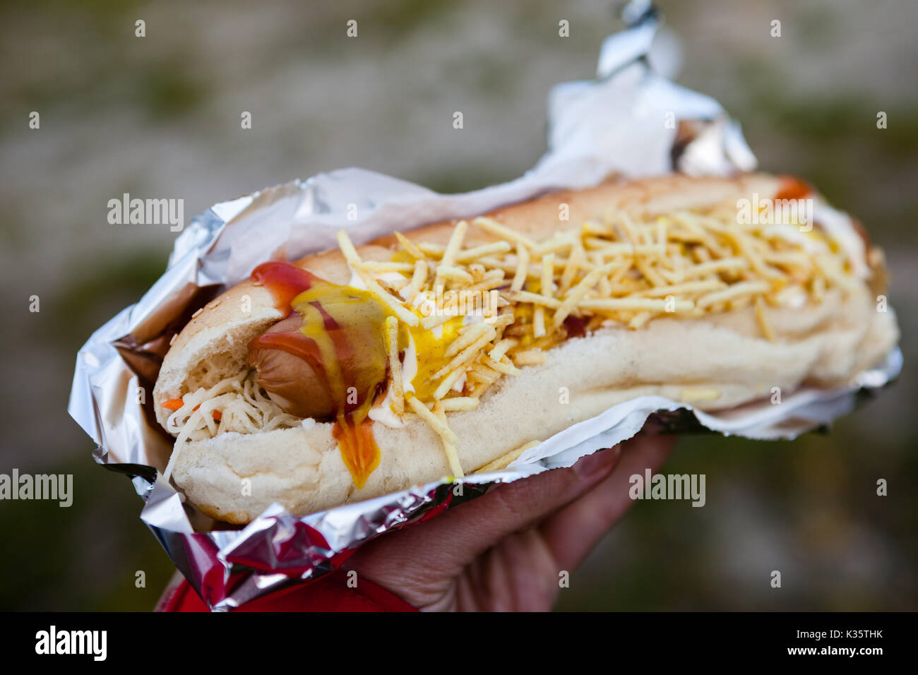 Hot dog avec frites Banque D'Images