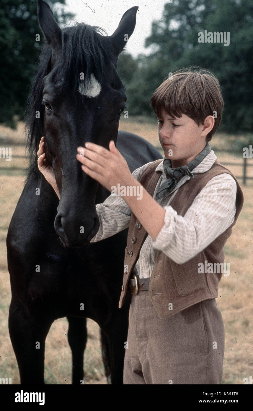 La beauté noire ANDREW KNOTT Date : 1994 Banque D'Images