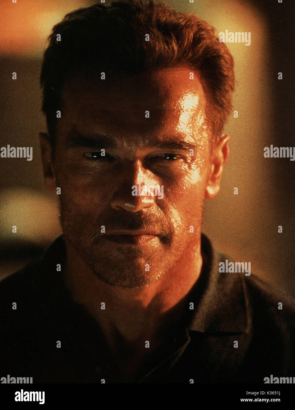 Dommages collatéraux Arnold Schwarzenegger Date : 2002 Banque D'Images