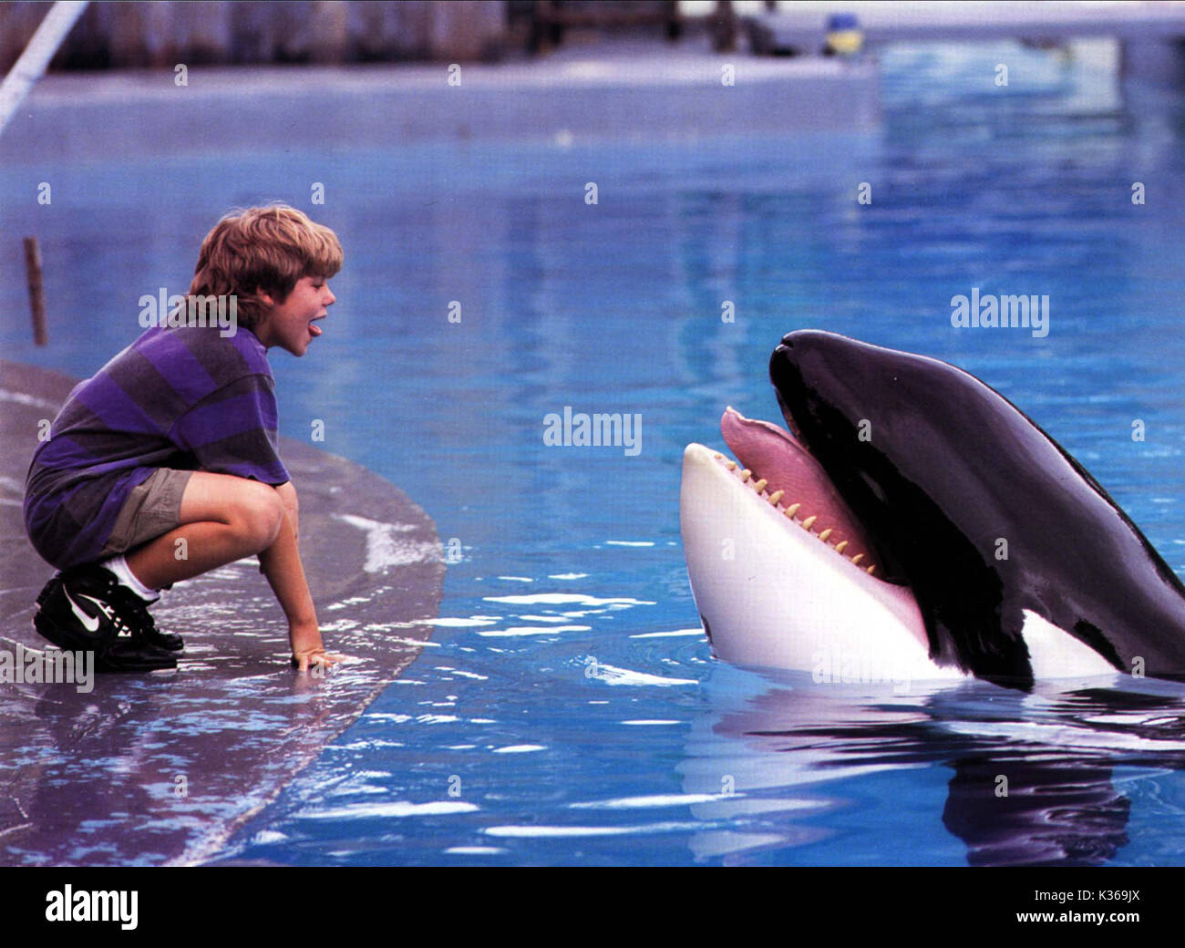 FREE WILLY JASON JAMES RICHTER Date : 1993 Banque D'Images