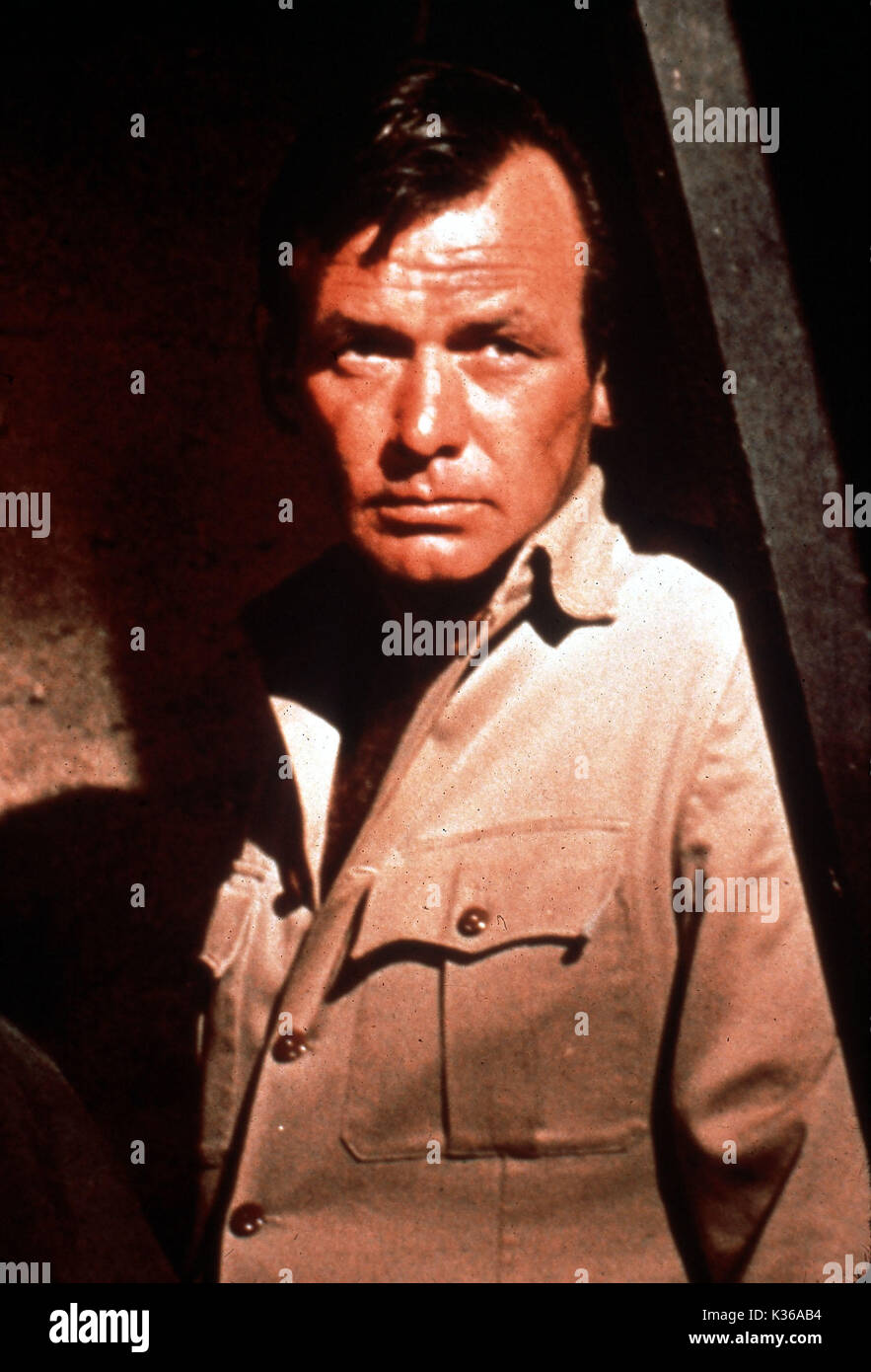 Le Fugitif DAVID JANSSEN Banque D'Images