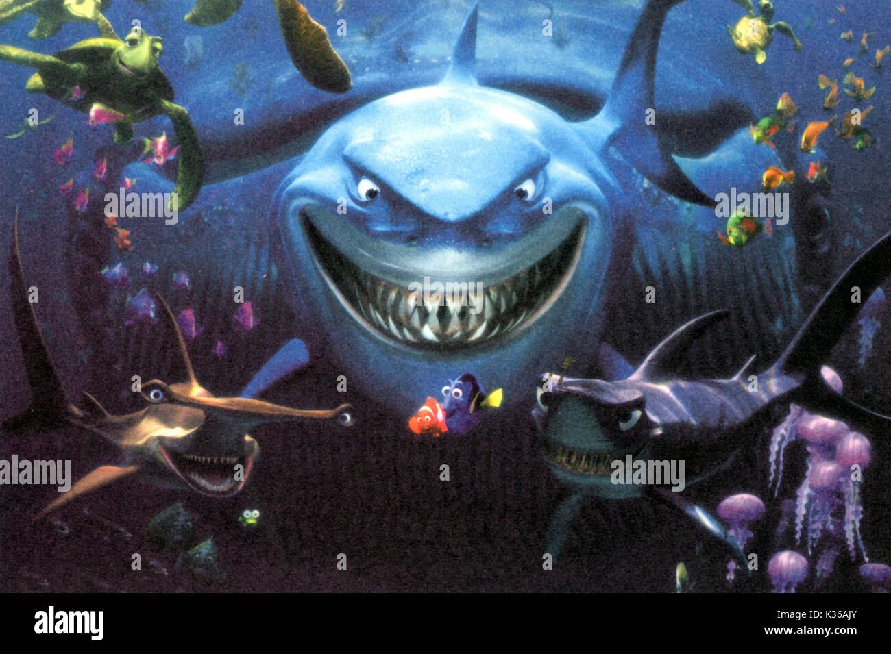 TROUVER NEMO COPYRIGHT : BUENA VISTA MARLIN ET DORY AVEC LES REQUINS TROUVER NEMO COPYRIGHT : BUENA VISTA MARLIN ET DORY AVEC LES REQUINS date : 2003 Banque D'Images