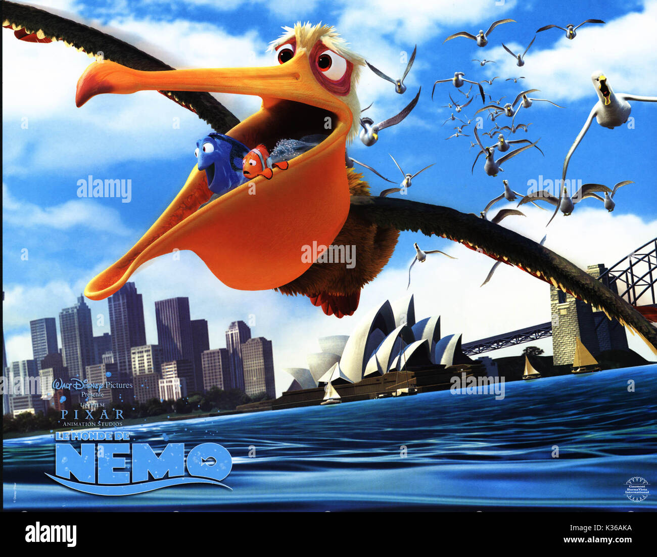 Trouver NÉMO Marlin et Dory ATTEINDRE SYDNEY VEUILLEZ DISNEY/PIXAR CRÉDIT Date : 2003 Banque D'Images