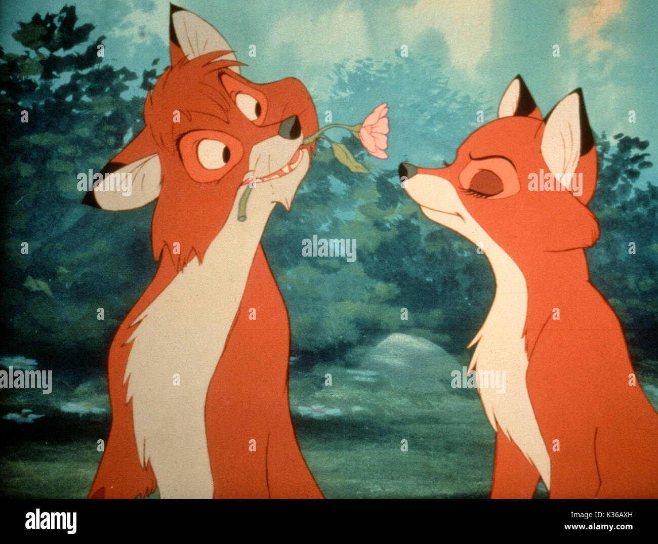 Le RENARD ET LE CHIEN VOUS DEVEZ CREDUT : WALT DISNEY PICTURES Date : 1981 Banque D'Images