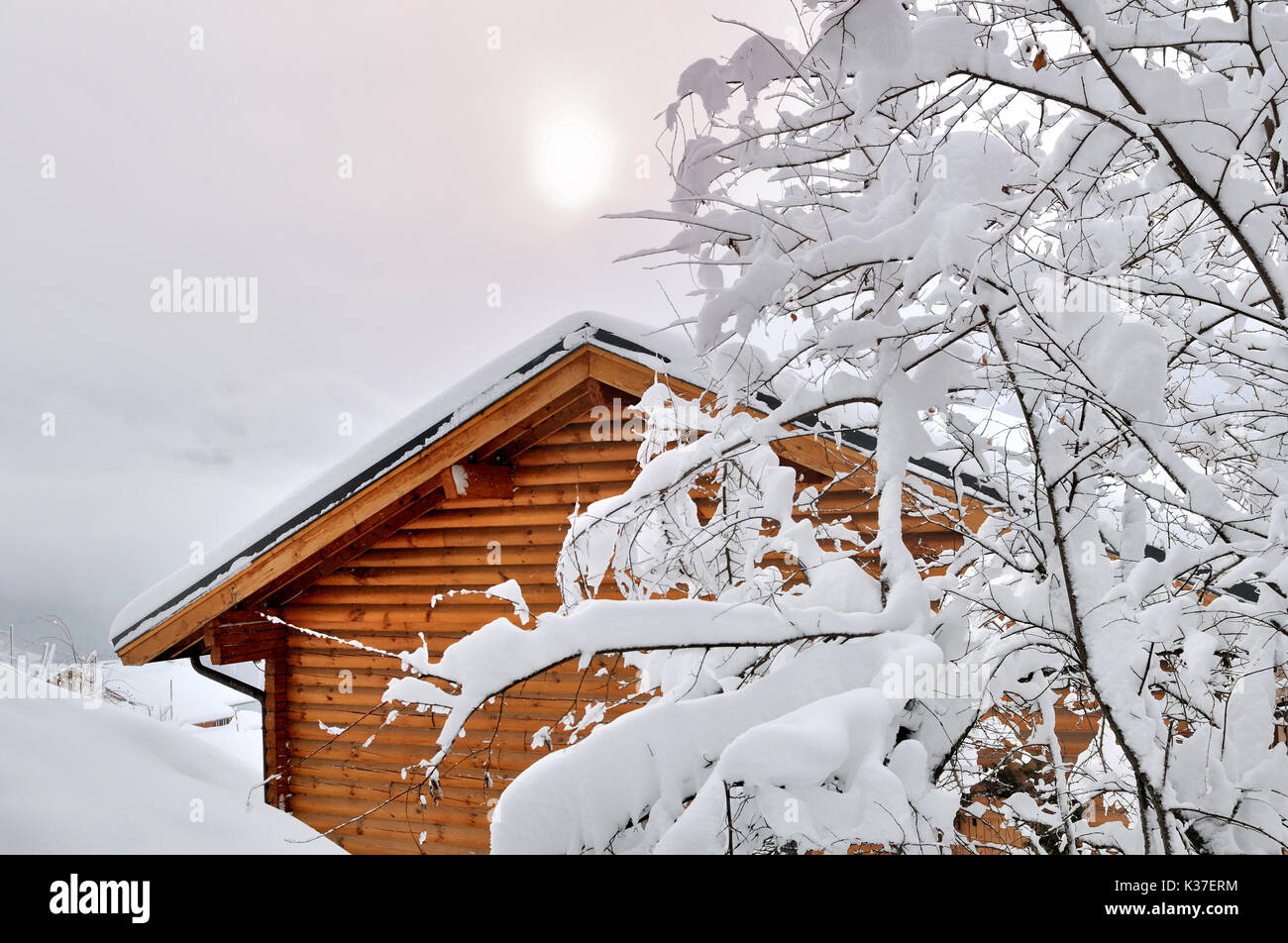 Chalet en bois derrière Arbre enneigé et sous la neige Banque D'Images