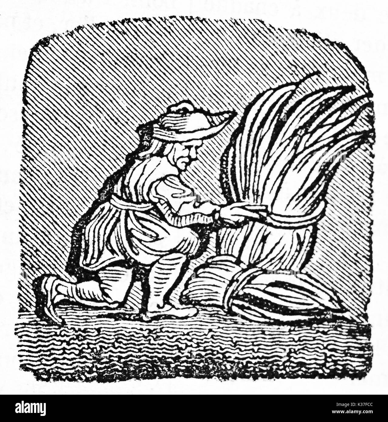 Illustration emblématique médiévale d'agriculteur avec un paquet de foin. Après avoir détruit des misericord dans Corbeil cathédrale Saint-Spire. Publié le magasin pittoresque Paris 1834 Banque D'Images