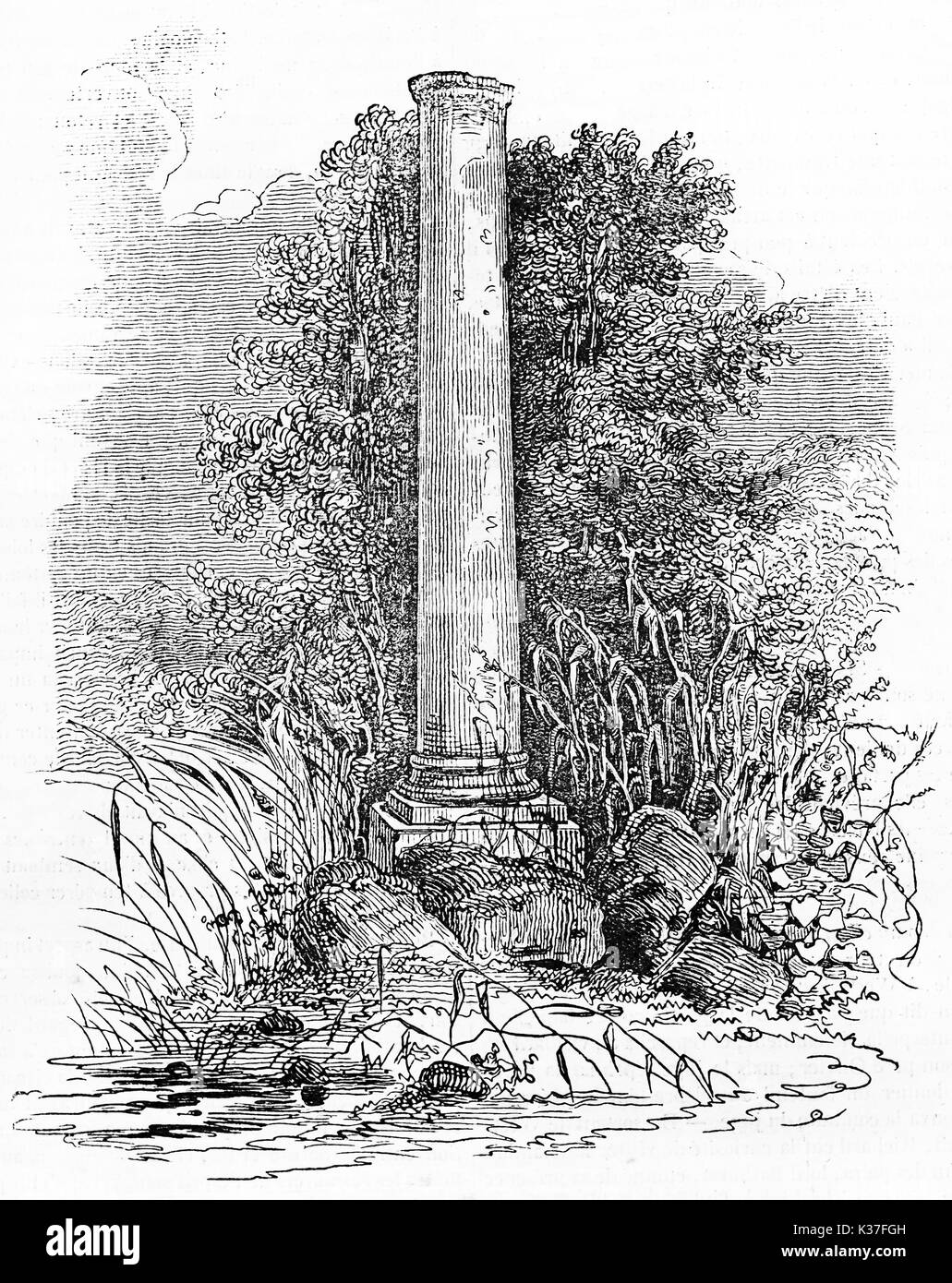 Colonne en pierre entouré de végétation et de mauvaises herbes, monument funéraire de Daubenton au Jardin des Plantes de Paris. Vieille Illustration par Chevalier publié le magasin pittoresque Paris 1834 Banque D'Images