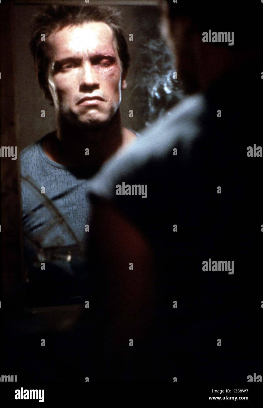 Le terminateur arnold schwarzenegger Banque de photographies et d ...