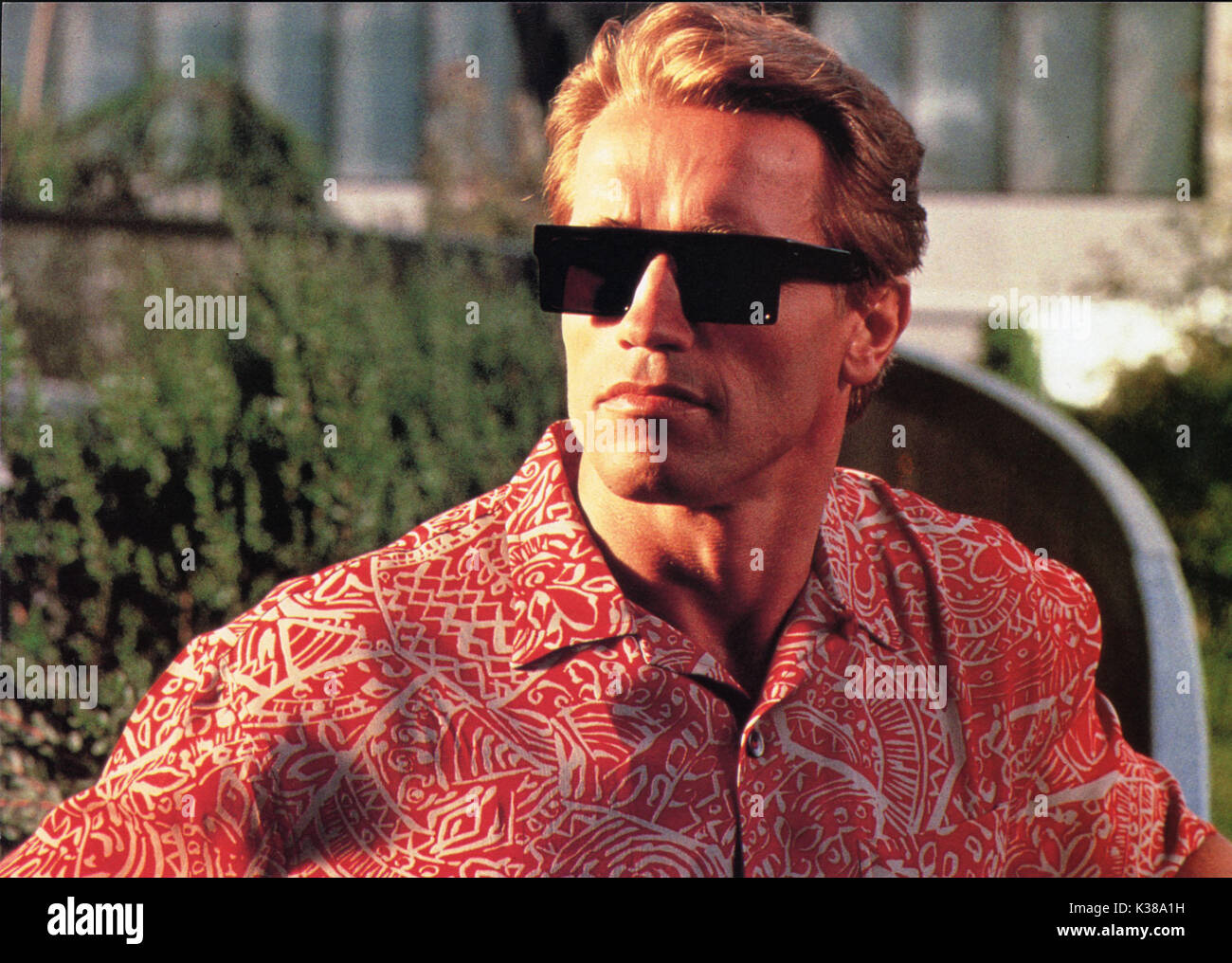 ARNOLD SCHWARZENEGGER TWINS Date : 1988 Banque D'Images