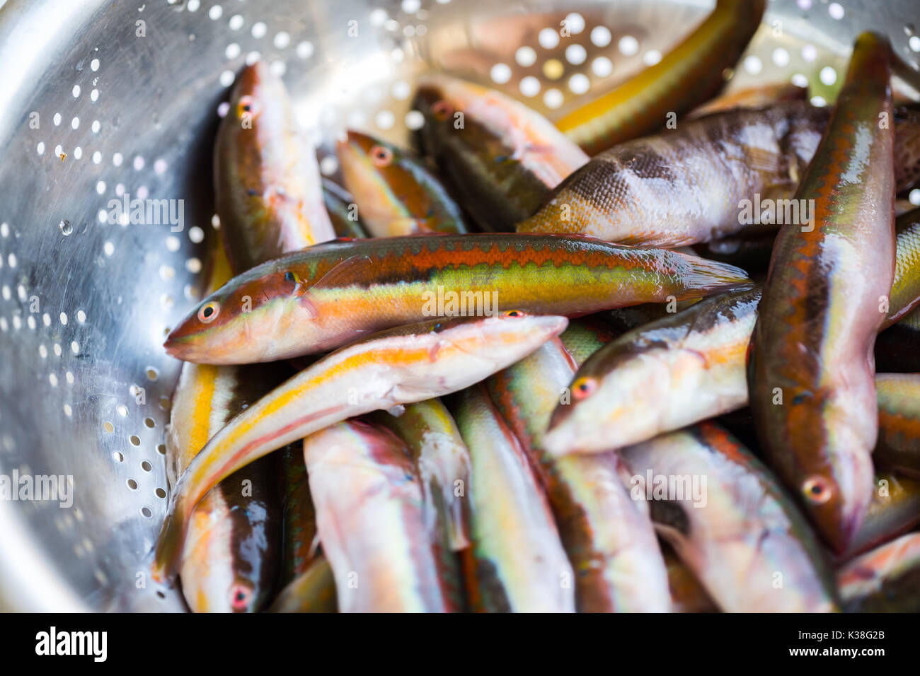 La préparation pour cuire l'arc-en-ciel méditerranéen frais poissons napoléons dans les Pouilles, sud de l'Italie Banque D'Images