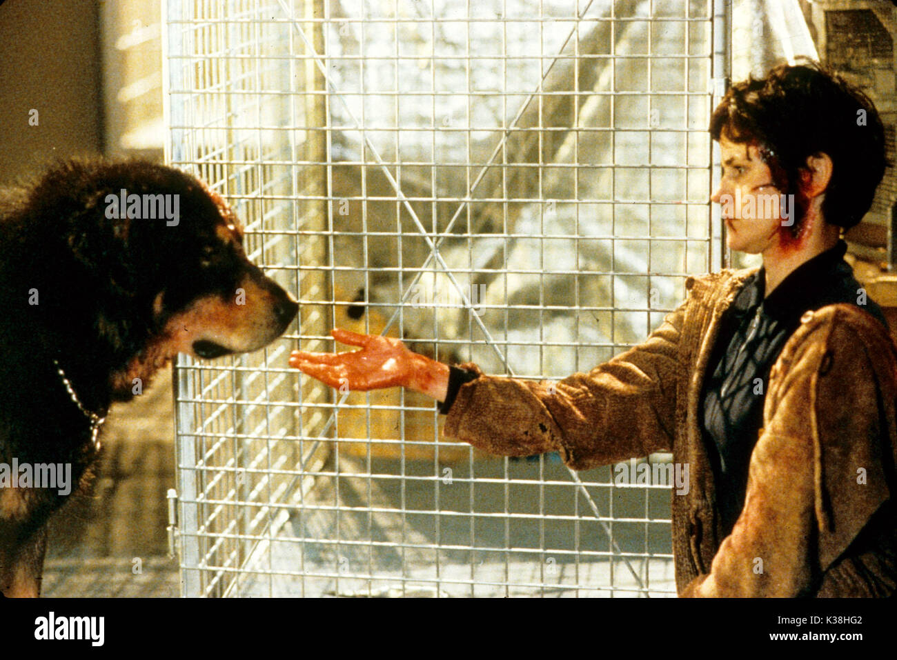 Le meilleur ami de l'homme [1993] ALLY SHEEDY Date : 1993 Banque D'Images