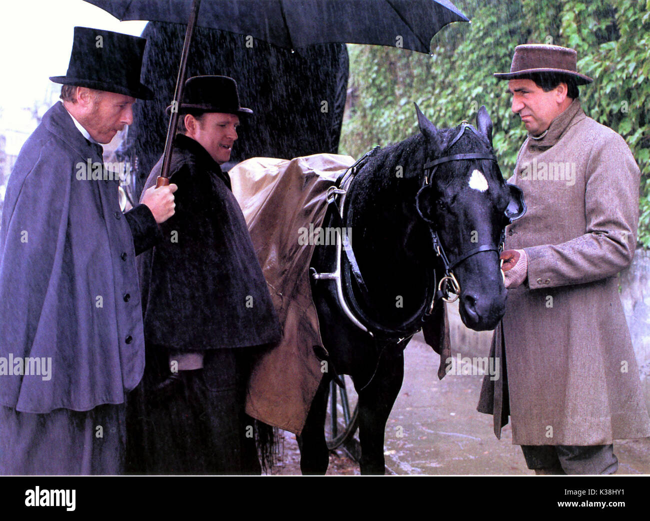 La beauté noire , PETER DAVIDSON ET JIM CARTER Banque D'Images