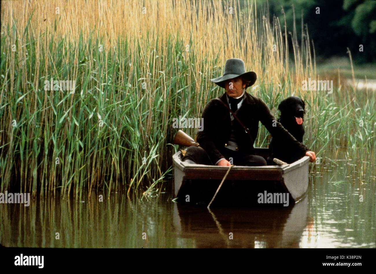 SENSE AND SENSIBILITY Alan Rickman Date : 1995 Banque D'Images