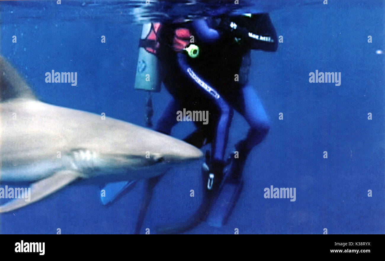 L'EAU LIBRE Date : 2003 Banque D'Images