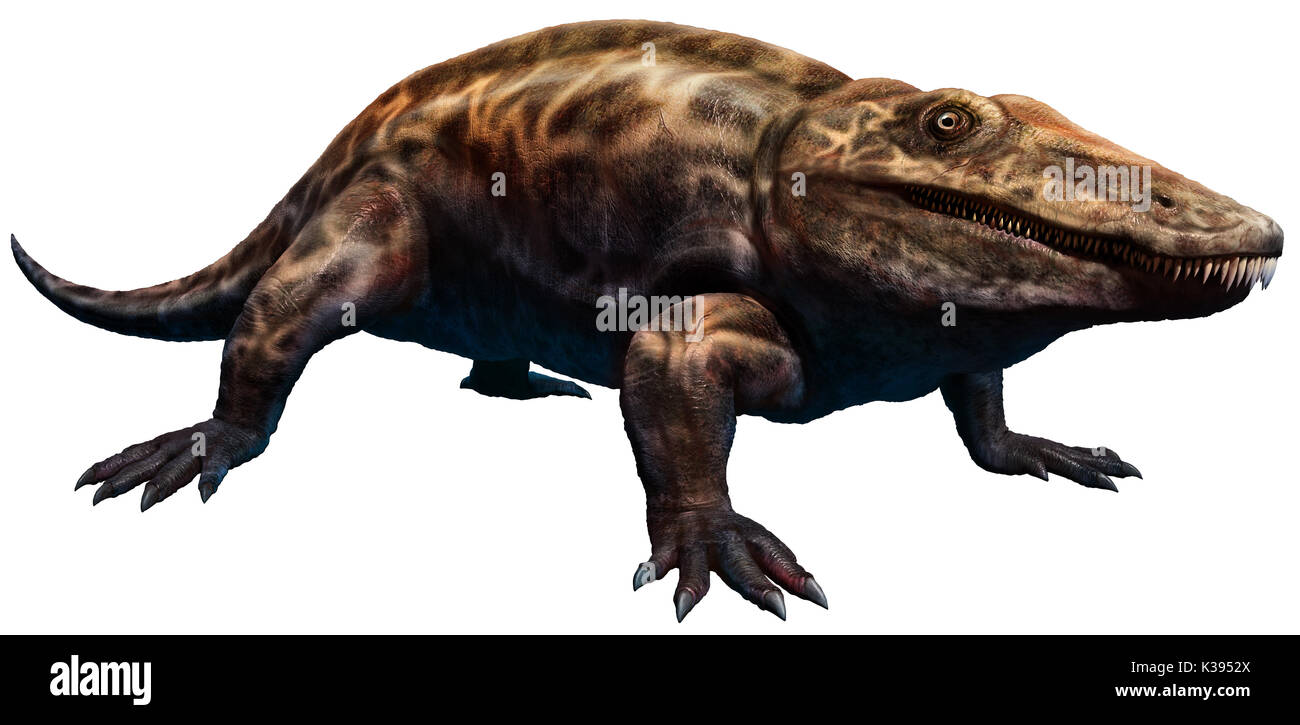 Eryops amphibian Banque de photographies et d’images à haute résolution ...