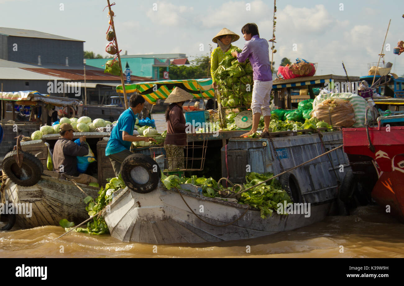 Fournisseurs proposent de cabages bateaux sur une rivière dans le marché flottant de Can Tho au Vietnam du Sud le Oct 17, 2011 Banque D'Images