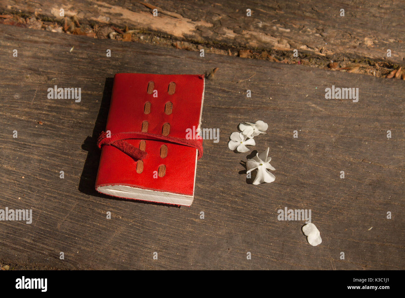 Livre journal rouge et petites fleurs blanches sur bois Banque D'Images