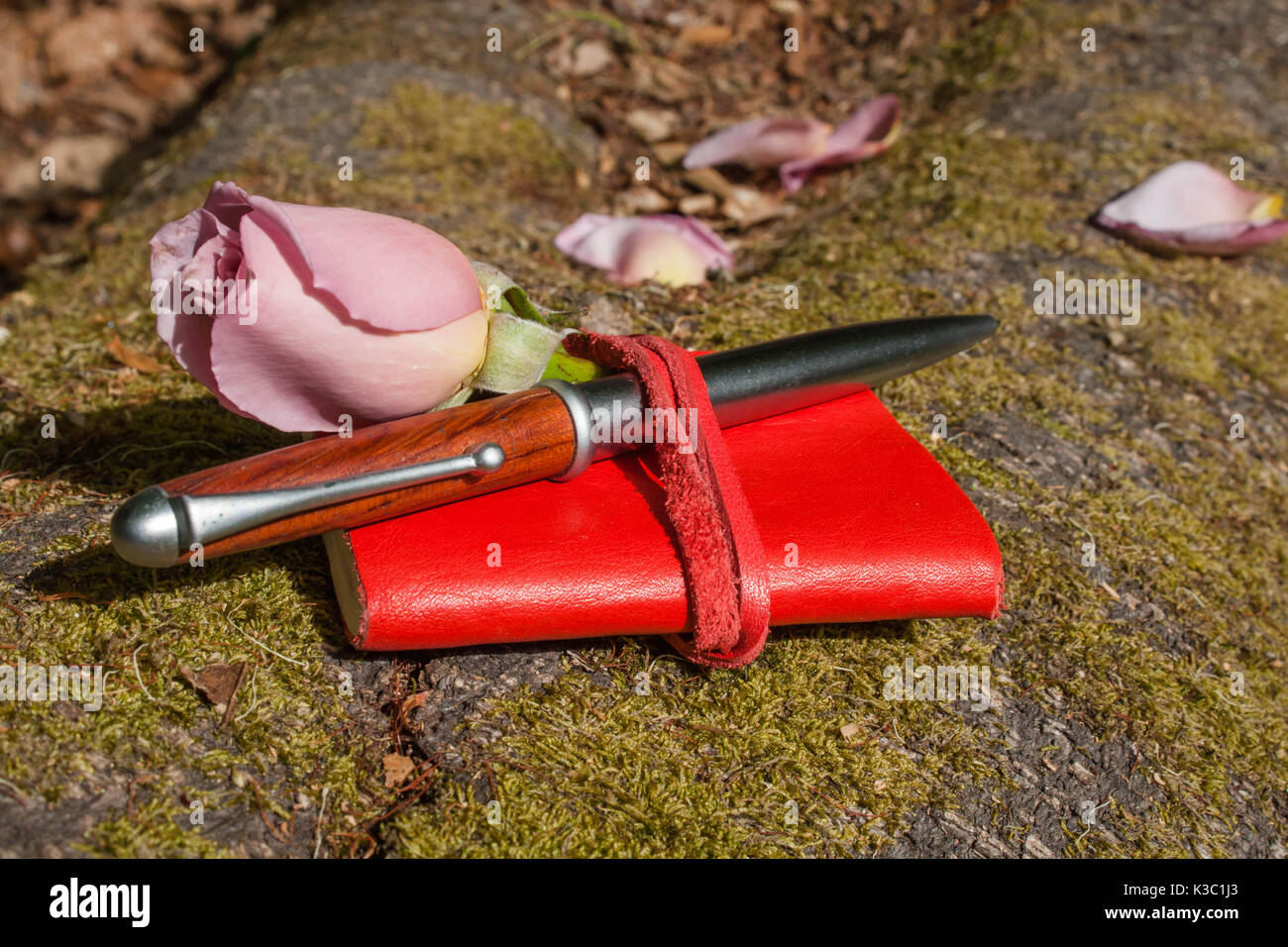Rose, rouge et stylo livre journal avec arrière-plan de plancher forestier Banque D'Images