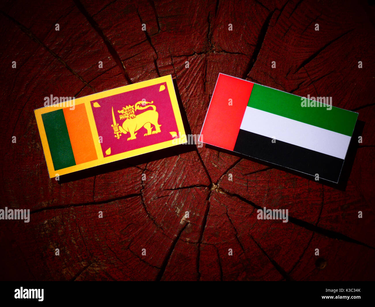Drapeau Sri Lankais avec Emirats Arabes Unis drapeau sur une souche d'arbre isolé Banque D'Images