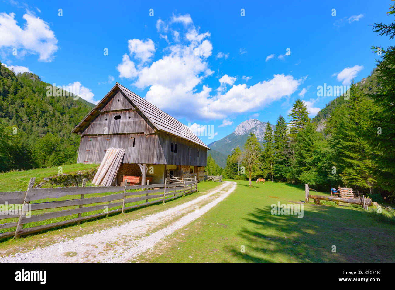 Maison de ferme de montagne dans les Alpes, robanov kot, Slovénie Banque D'Images