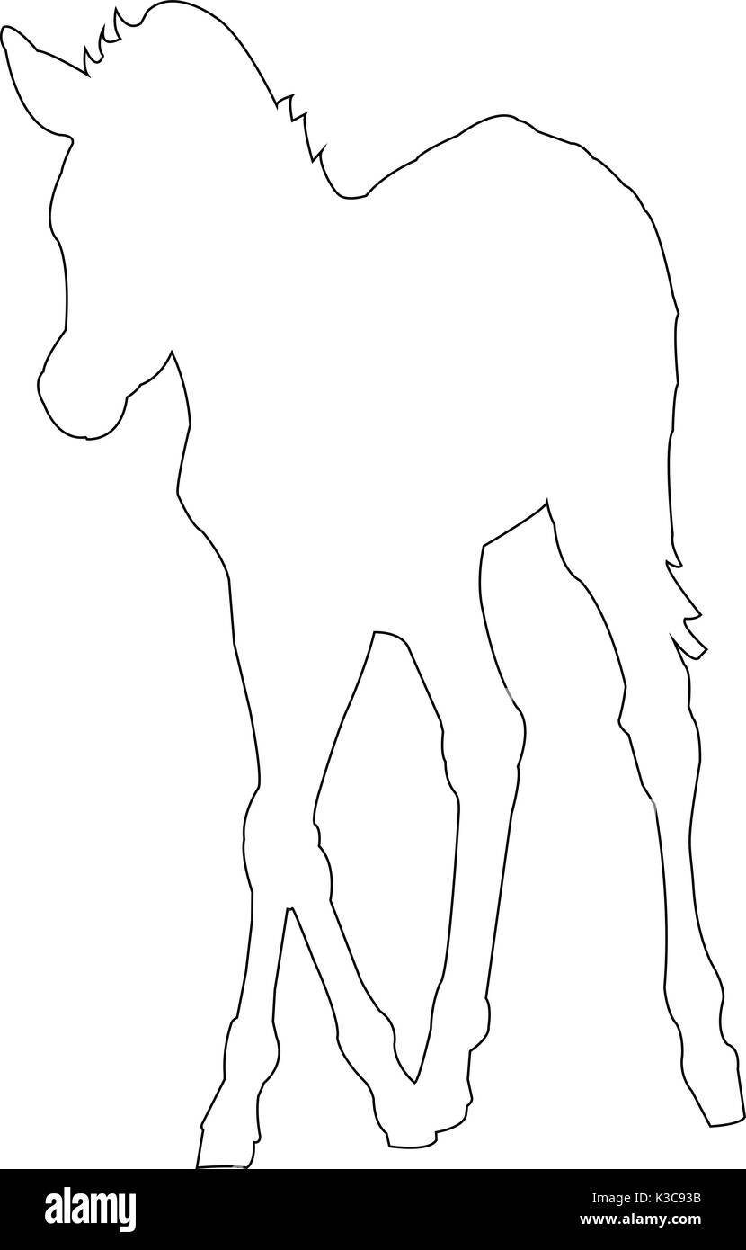 Les grandes lignes d'un zèbre d'afrique Illustration de Vecteur