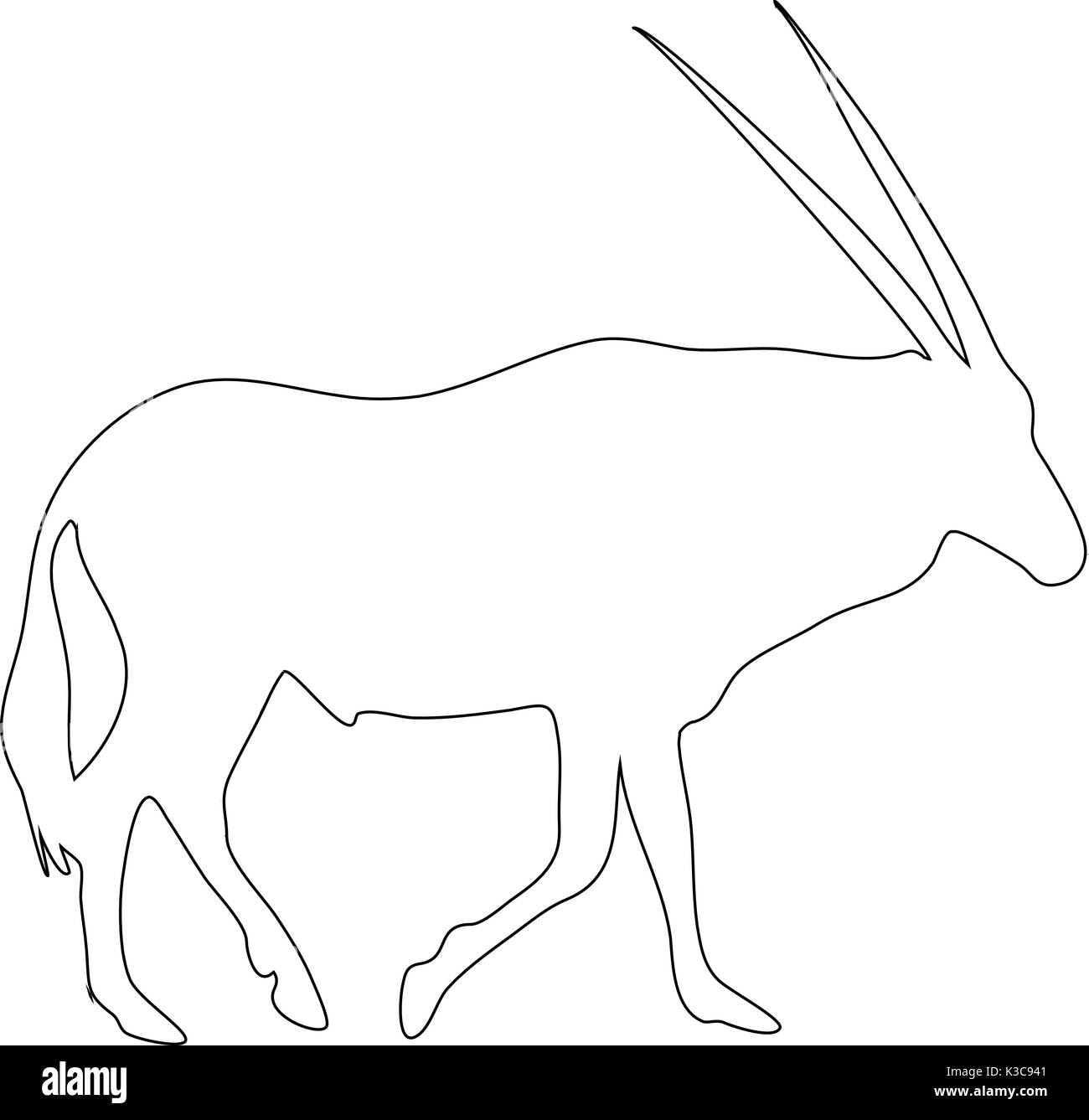 Les grandes lignes d'un oryx d'afrique Illustration de Vecteur